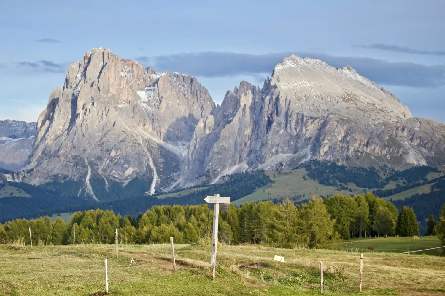 The Witch Mountains, Alpe di Siusi