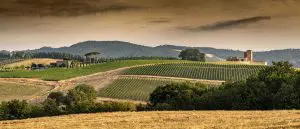 MonteRosola Farmhouse and Winery MonteRosola Farmhouse and Winery