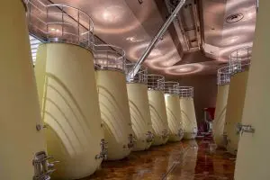 MonteRosola concrete tulip vats MonteRosola concrete tulip vats