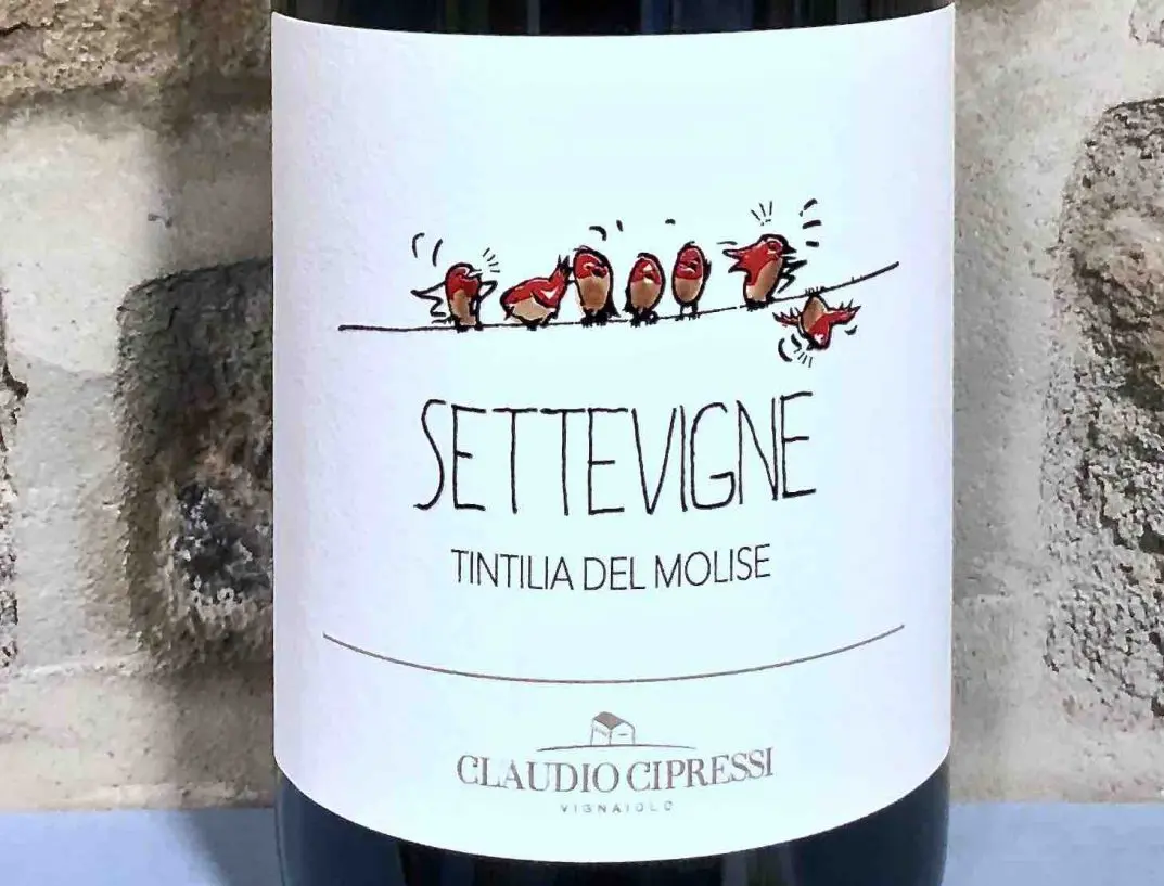 Tintilia del Molise DOC - Settevigne, Claudio Cipressi