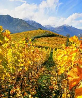 Autumn in Aosta Autumn in Aosta