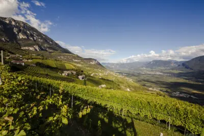 Looking north_kurtatsch_©florian_andergassen_