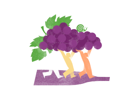Slow Wine Coalition