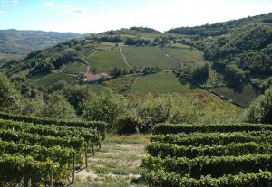 Borgo Maragliano view